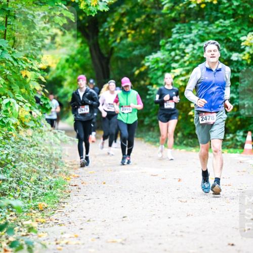 12.10.2025 - Bramfelder Halbmarathon 2025 Dr. Thomas Lammeyer http://msf.ph/oto/9355942 12.10.2025 10:55:21 Laufen 2629, 2995, 2478 meine-sportfotos.de