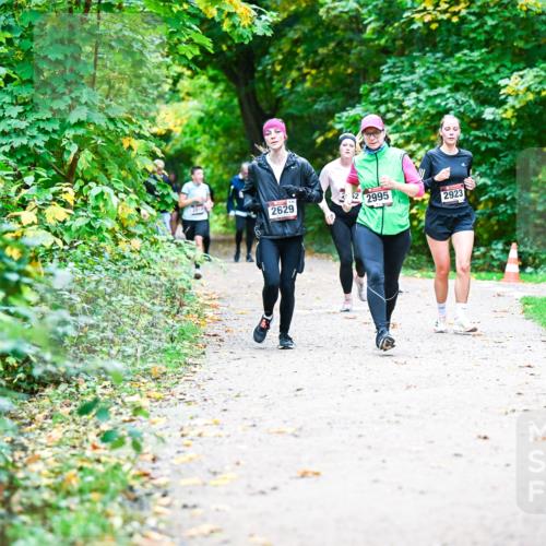 12.10.2025 - Bramfelder Halbmarathon 2025 Dr. Thomas Lammeyer http://msf.ph/oto/9355961 12.10.2025 10:55:24 Laufen 2629, 2995, 2923 meine-sportfotos.de
