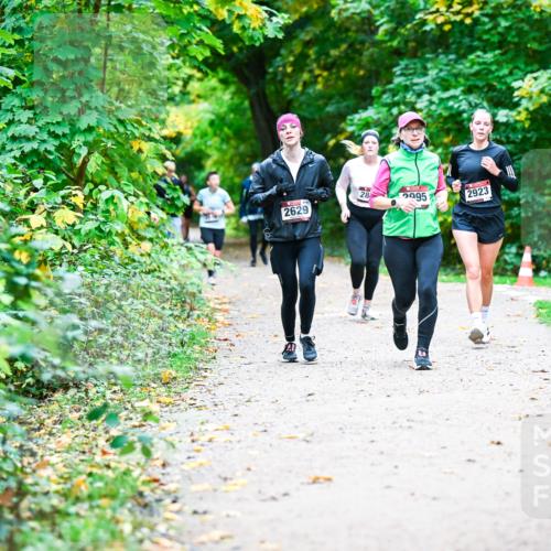 12.10.2025 - Bramfelder Halbmarathon 2025 Dr. Thomas Lammeyer http://msf.ph/oto/9355964 12.10.2025 10:55:24 Laufen 2629, 28, 2995, 2923 meine-sportfotos.de