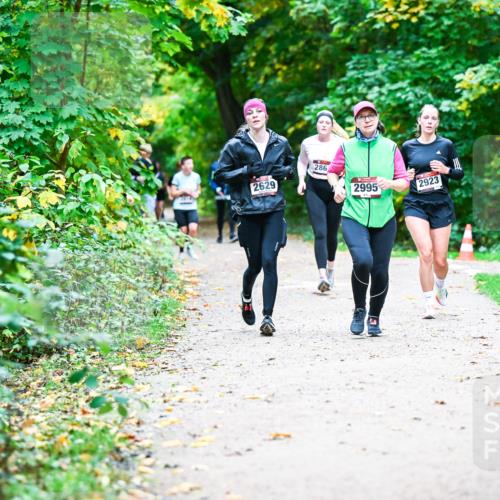 12.10.2025 - Bramfelder Halbmarathon 2025 Dr. Thomas Lammeyer http://msf.ph/oto/9355965 12.10.2025 10:55:24 Laufen 2629, 286, 2995, 90, 2923 meine-sportfotos.de