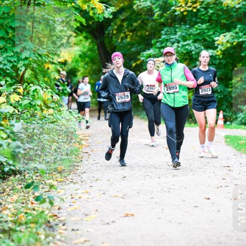 12.10.2025 - Bramfelder Halbmarathon 2025 Dr. Thomas Lammeyer http://msf.ph/oto/9355966 12.10.2025 10:55:25 Laufen 2629, 2867, 2995, 2923 meine-sportfotos.de