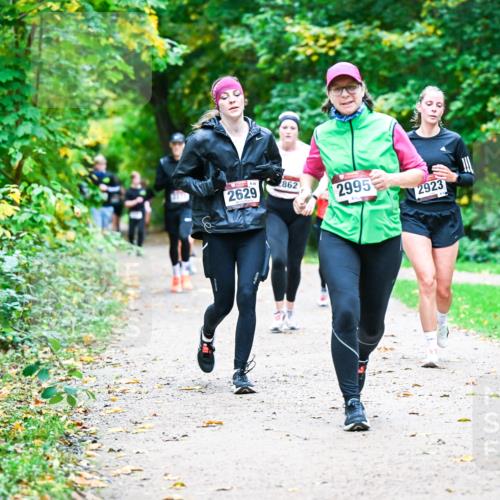 12.10.2025 - Bramfelder Halbmarathon 2025 Dr. Thomas Lammeyer http://msf.ph/oto/9355979 12.10.2025 10:55:27 Laufen 2629, 862, 2995, 2923 meine-sportfotos.de