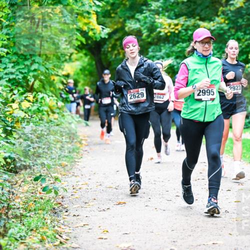 12.10.2025 - Bramfelder Halbmarathon 2025 Dr. Thomas Lammeyer http://msf.ph/oto/9355981 12.10.2025 10:55:27 Laufen 49, 2629, 2862, 2995, 2923 meine-sportfotos.de