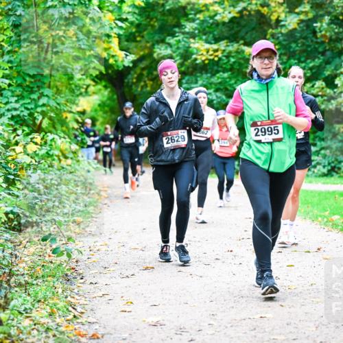 12.10.2025 - Bramfelder Halbmarathon 2025 Dr. Thomas Lammeyer http://msf.ph/oto/9355983 12.10.2025 10:55:27 Laufen 2629, 862, 2995, 394 meine-sportfotos.de