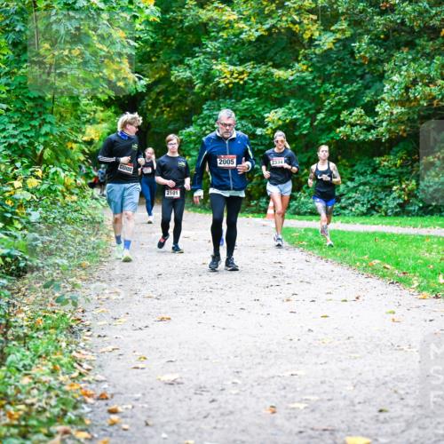 12.10.2025 - Bramfelder Halbmarathon 2025 Dr. Thomas Lammeyer http://msf.ph/oto/9356032 12.10.2025 10:55:38 Laufen 2101, 2005, 2334 meine-sportfotos.de