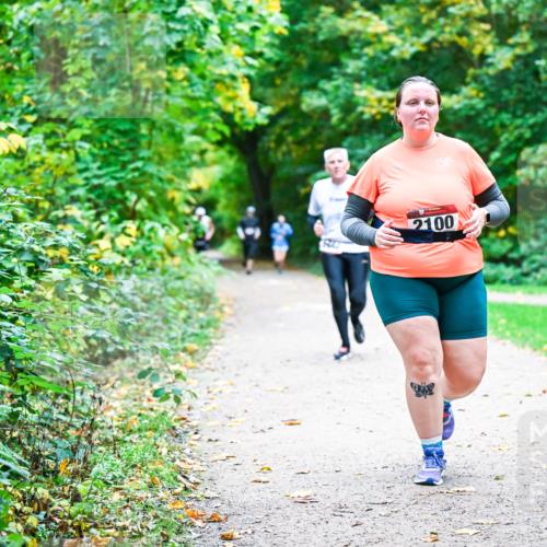 12.10.2025 - Bramfelder Halbmarathon 2025 Dr. Thomas Lammeyer http://msf.ph/oto/9356261 12.10.2025 10:56:27 Laufen 833, 2100 meine-sportfotos.de