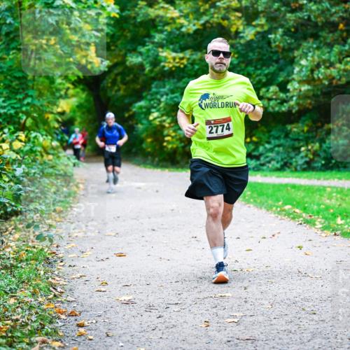12.10.2025 - Bramfelder Halbmarathon 2025 Dr. Thomas Lammeyer http://msf.ph/oto/9356366 12.10.2025 10:56:55 Laufen 2774 meine-sportfotos.de