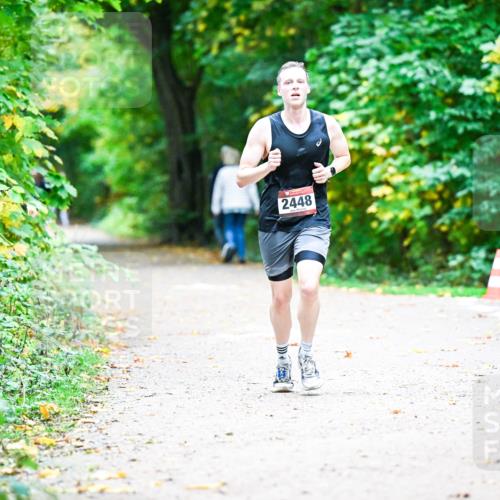 12.10.2025 - Bramfelder Halbmarathon 2025 Dr. Thomas Lammeyer http://msf.ph/oto/9356553 12.10.2025 10:57:49 Laufen 2448 meine-sportfotos.de