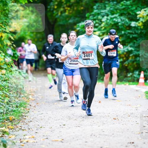12.10.2025 - Bramfelder Halbmarathon 2025 Dr. Thomas Lammeyer http://msf.ph/oto/9356617 12.10.2025 10:58:14 Laufen 2968, 2407, 132, 2496 meine-sportfotos.de