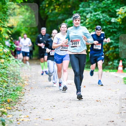 12.10.2025 - Bramfelder Halbmarathon 2025 Dr. Thomas Lammeyer http://msf.ph/oto/9356618 12.10.2025 10:58:14 Laufen 231, 2968, 2407, 132, 2496 meine-sportfotos.de