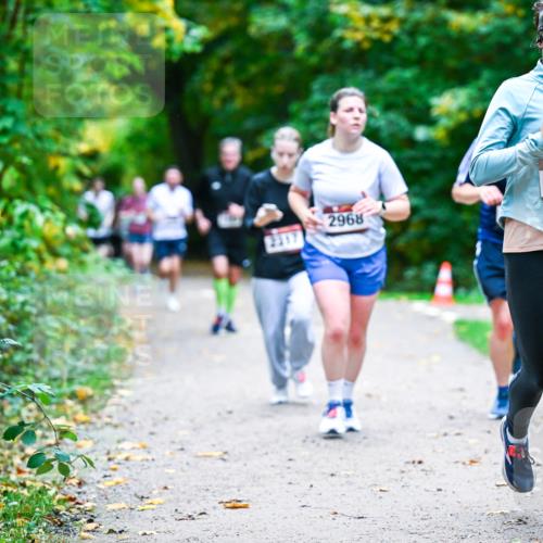 12.10.2025 - Bramfelder Halbmarathon 2025 Dr. Thomas Lammeyer http://msf.ph/oto/9356634 12.10.2025 10:58:17 Laufen 2968, 2407, 132 meine-sportfotos.de