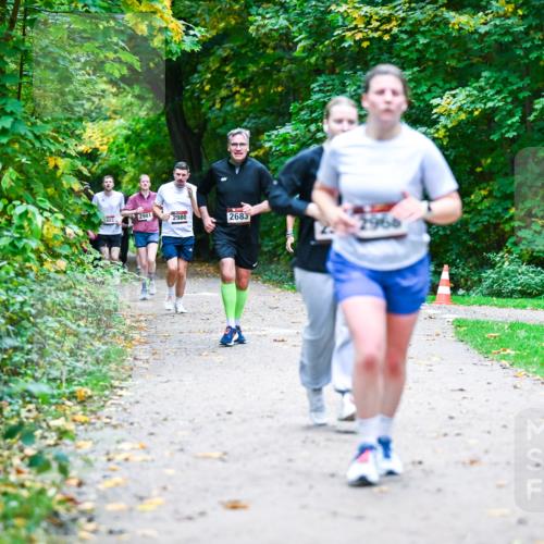 12.10.2025 - Bramfelder Halbmarathon 2025 Dr. Thomas Lammeyer http://msf.ph/oto/9356637 12.10.2025 10:58:18 Laufen 2496, 2981, 403, 2980, 2683, 2966 meine-sportfotos.de