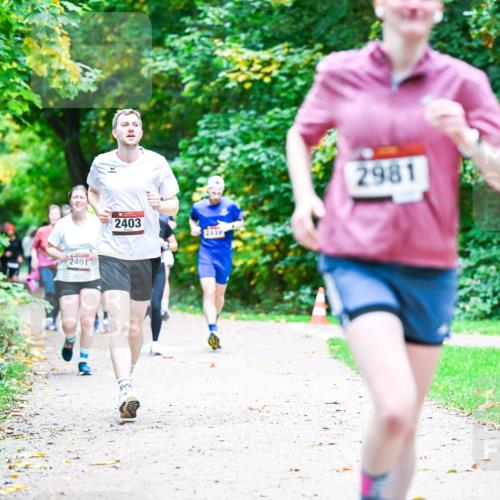 12.10.2025 - Bramfelder Halbmarathon 2025 Dr. Thomas Lammeyer http://msf.ph/oto/9356680 12.10.2025 10:58:28 Laufen 2401, 2403, 243, 2981 meine-sportfotos.de