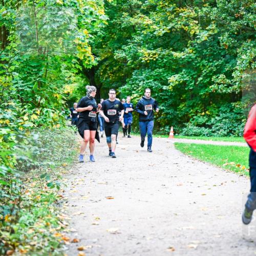 12.10.2025 - Bramfelder Halbmarathon 2025 Dr. Thomas Lammeyer http://msf.ph/oto/9356822 12.10.2025 10:58:54 Laufen 2220, 2026, 2169 meine-sportfotos.de