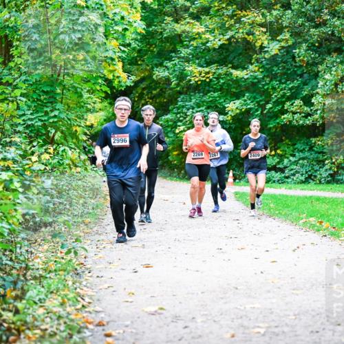 12.10.2025 - Bramfelder Halbmarathon 2025 Dr. Thomas Lammeyer http://msf.ph/oto/9356877 12.10.2025 10:59:05 Laufen 2996, 2269, 2267, 2409 meine-sportfotos.de