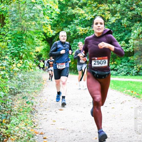 12.10.2025 - Bramfelder Halbmarathon 2025 Dr. Thomas Lammeyer http://msf.ph/oto/9356980 12.10.2025 10:59:24 Laufen 2181, 286, 2909 meine-sportfotos.de