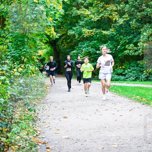 12.10.2025 - Bramfelder Halbmarathon 2025 Dr. Thomas Lammeyer http://msf.ph/oto/9357044 12.10.2025 10:59:36 Laufen 2817, 2227, 365, 2842 meine-sportfotos.de