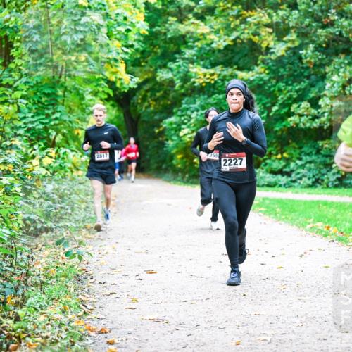 12.10.2025 - Bramfelder Halbmarathon 2025 Dr. Thomas Lammeyer http://msf.ph/oto/9357072 12.10.2025 10:59:40 Laufen 2817, 365, 2227, 8122 meine-sportfotos.de
