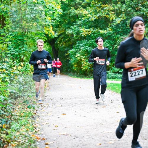 12.10.2025 - Bramfelder Halbmarathon 2025 Dr. Thomas Lammeyer http://msf.ph/oto/9357079 12.10.2025 10:59:41 Laufen 2365, 2817, 2227 meine-sportfotos.de