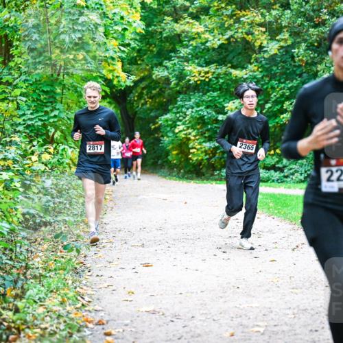 12.10.2025 - Bramfelder Halbmarathon 2025 Dr. Thomas Lammeyer http://msf.ph/oto/9357081 12.10.2025 10:59:42 Laufen 2817, 2365, 2227 meine-sportfotos.de