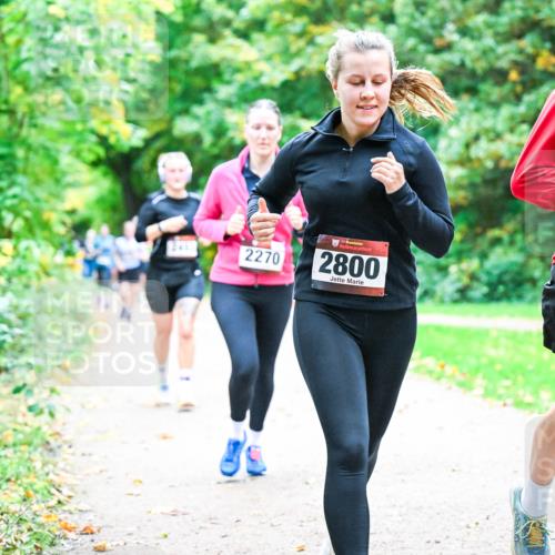 12.10.2025 - Bramfelder Halbmarathon 2025 Dr. Thomas Lammeyer http://msf.ph/oto/9357150 12.10.2025 10:59:54 Laufen 2413, 2270, 2800 meine-sportfotos.de