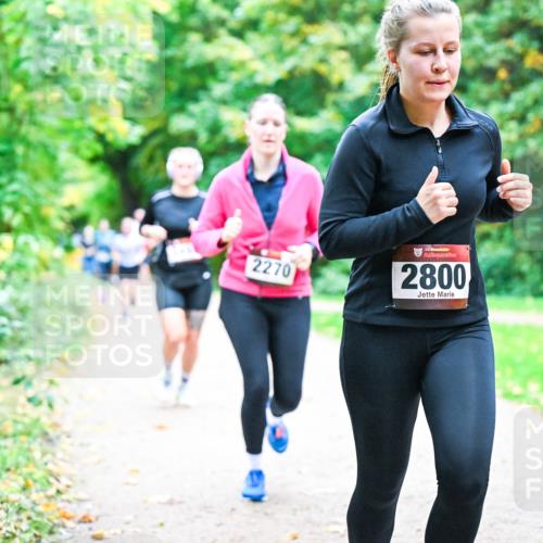 12.10.2025 - Bramfelder Halbmarathon 2025 Dr. Thomas Lammeyer http://msf.ph/oto/9357152 12.10.2025 10:59:54 Laufen 2270, 2800 meine-sportfotos.de