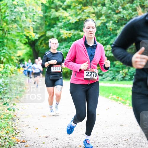 12.10.2025 - Bramfelder Halbmarathon 2025 Dr. Thomas Lammeyer http://msf.ph/oto/9357153 12.10.2025 10:59:54 Laufen 2493, 2270, 2800 meine-sportfotos.de