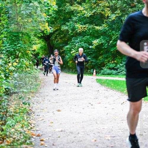 12.10.2025 - Bramfelder Halbmarathon 2025 Dr. Thomas Lammeyer http://msf.ph/oto/9357302 12.10.2025 11:00:22 Laufen 2570, 2277, 2572 meine-sportfotos.de