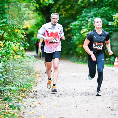 12.10.2025 - Bramfelder Halbmarathon 2025 Dr. Thomas Lammeyer http://msf.ph/oto/9357382 12.10.2025 11:00:40 Laufen 55, 2955 meine-sportfotos.de