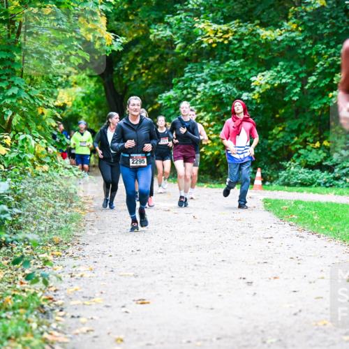 12.10.2025 - Bramfelder Halbmarathon 2025 Dr. Thomas Lammeyer http://msf.ph/oto/9357599 12.10.2025 11:01:31 Laufen 2295, 701, 2414 meine-sportfotos.de