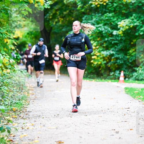 12.10.2025 - Bramfelder Halbmarathon 2025 Dr. Thomas Lammeyer http://msf.ph/oto/9357862 12.10.2025 11:02:26 Laufen 2744 meine-sportfotos.de