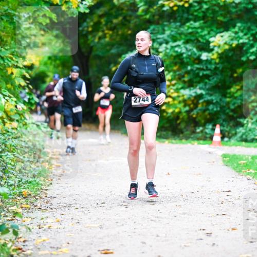 12.10.2025 - Bramfelder Halbmarathon 2025 Dr. Thomas Lammeyer http://msf.ph/oto/9357864 12.10.2025 11:02:26 Laufen 2744 meine-sportfotos.de