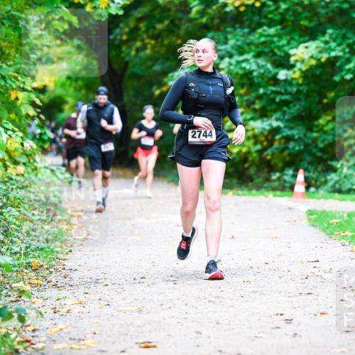 12.10.2025 - Bramfelder Halbmarathon 2025 Dr. Thomas Lammeyer http://msf.ph/oto/9357865 12.10.2025 11:02:26 Laufen 2744 meine-sportfotos.de