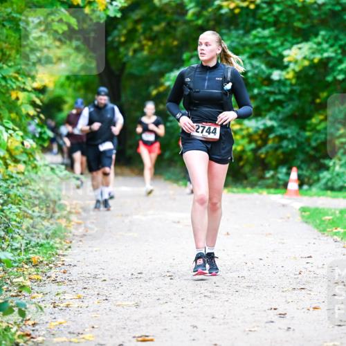 12.10.2025 - Bramfelder Halbmarathon 2025 Dr. Thomas Lammeyer http://msf.ph/oto/9357867 12.10.2025 11:02:26 Laufen 2744 meine-sportfotos.de