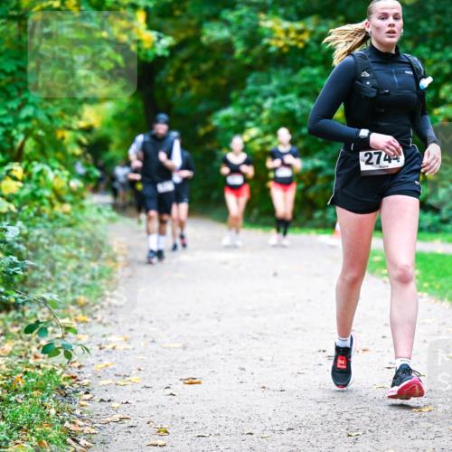 12.10.2025 - Bramfelder Halbmarathon 2025 Dr. Thomas Lammeyer http://msf.ph/oto/9357882 12.10.2025 11:02:28 Laufen 2744 meine-sportfotos.de