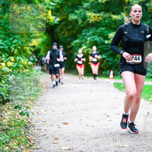 12.10.2025 - Bramfelder Halbmarathon 2025 Dr. Thomas Lammeyer http://msf.ph/oto/9357884 12.10.2025 11:02:29 Laufen 744 meine-sportfotos.de