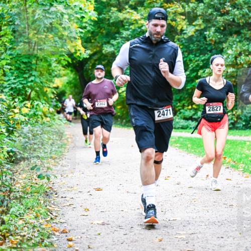 12.10.2025 - Bramfelder Halbmarathon 2025 Dr. Thomas Lammeyer http://msf.ph/oto/9357915 12.10.2025 11:02:35 Laufen 2302, 2471, 2827, 2259 meine-sportfotos.de
