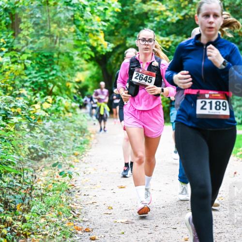 12.10.2025 - Bramfelder Halbmarathon 2025 Dr. Thomas Lammeyer http://msf.ph/oto/9358063 12.10.2025 11:03:03 Laufen 2645, 2189, 2727, 864 meine-sportfotos.de