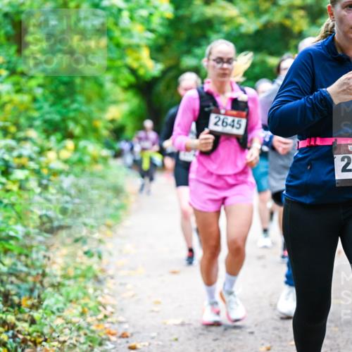 12.10.2025 - Bramfelder Halbmarathon 2025 Dr. Thomas Lammeyer http://msf.ph/oto/9358065 12.10.2025 11:03:04 Laufen 0, 2645, 34, 2189, 2727 meine-sportfotos.de