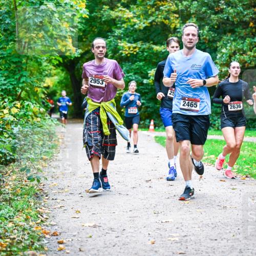 12.10.2025 - Bramfelder Halbmarathon 2025 Dr. Thomas Lammeyer http://msf.ph/oto/9358099 12.10.2025 11:03:11 Laufen 2953, 2452, 25, 2465, 2636, 2048 meine-sportfotos.de