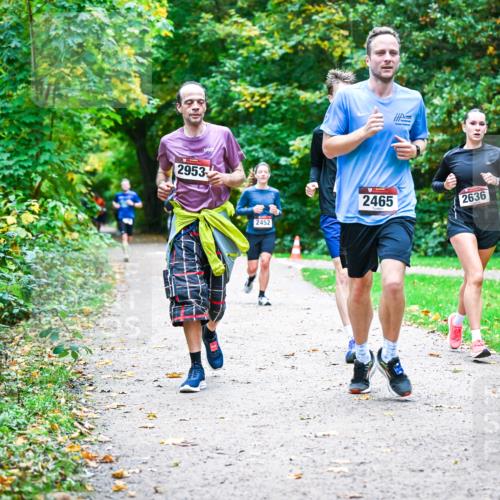 12.10.2025 - Bramfelder Halbmarathon 2025 Dr. Thomas Lammeyer http://msf.ph/oto/9358100 12.10.2025 11:03:11 Laufen 2953, 2452, 2465, 2636, 2048 meine-sportfotos.de