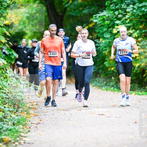 12.10.2025 - Bramfelder Halbmarathon 2025 Dr. Thomas Lammeyer http://msf.ph/oto/9358158 12.10.2025 11:03:25 Laufen 2382, 96, 198, 2319 meine-sportfotos.de