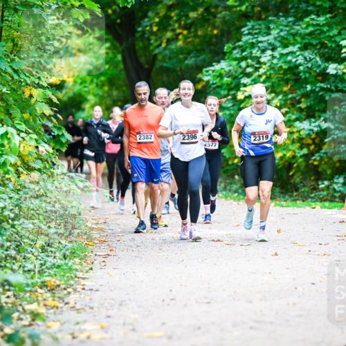 12.10.2025 - Bramfelder Halbmarathon 2025 Dr. Thomas Lammeyer http://msf.ph/oto/9358168 12.10.2025 11:03:26 Laufen 2382, 2396, 2577, 2319 meine-sportfotos.de