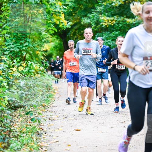 12.10.2025 - Bramfelder Halbmarathon 2025 Dr. Thomas Lammeyer http://msf.ph/oto/9358195 12.10.2025 11:03:32 Laufen 2382, 2592, 2206, 2396, 2577 meine-sportfotos.de