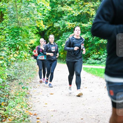 12.10.2025 - Bramfelder Halbmarathon 2025 Dr. Thomas Lammeyer http://msf.ph/oto/9358253 12.10.2025 11:03:45 Laufen 2725, 946 meine-sportfotos.de