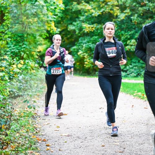 12.10.2025 - Bramfelder Halbmarathon 2025 Dr. Thomas Lammeyer http://msf.ph/oto/9358264 12.10.2025 11:03:47 Laufen 2725, 2946, 227 meine-sportfotos.de