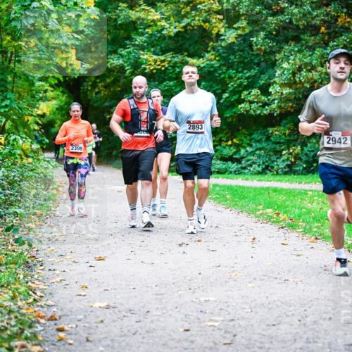 12.10.2025 - Bramfelder Halbmarathon 2025 Dr. Thomas Lammeyer http://msf.ph/oto/9358282 12.10.2025 11:03:55 Laufen 2399, 2893, 2942 meine-sportfotos.de