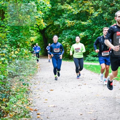 12.10.2025 - Bramfelder Halbmarathon 2025 Dr. Thomas Lammeyer http://msf.ph/oto/9358327 12.10.2025 11:04:03 Laufen 2421, 2343, 2895, 2656 meine-sportfotos.de