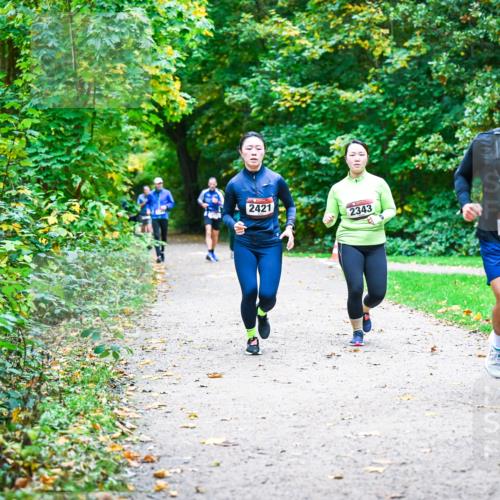 12.10.2025 - Bramfelder Halbmarathon 2025 Dr. Thomas Lammeyer http://msf.ph/oto/9358331 12.10.2025 11:04:04 Laufen 2421, 2343, 2895 meine-sportfotos.de