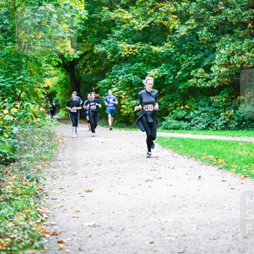 12.10.2025 - Bramfelder Halbmarathon 2025 Dr. Thomas Lammeyer http://msf.ph/oto/9358460 12.10.2025 11:04:25 Laufen 2305, 2613 meine-sportfotos.de